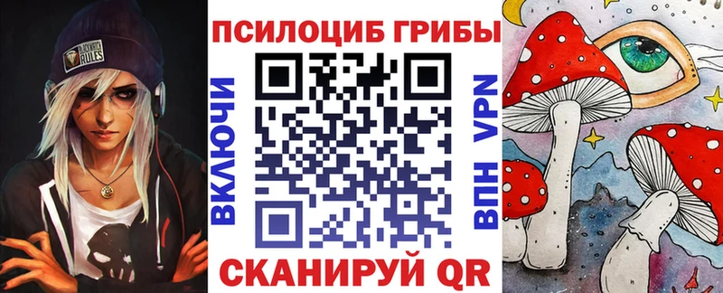 закладки  Вязьма  Псилоцибиновые грибы прущие грибы 