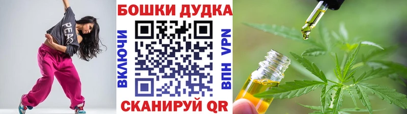 Бошки Шишки планчик  Вязьма 
